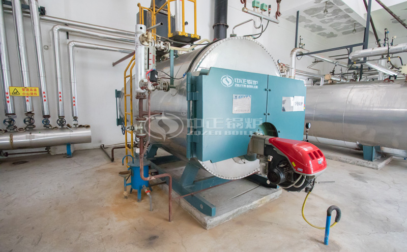 哈爾濱生物質(zhì)蒸汽鍋爐廠家客戶案例圖片