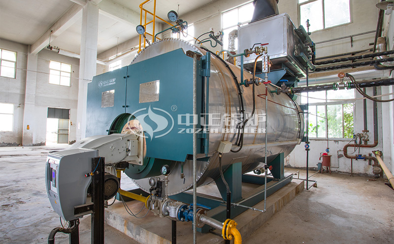 天然氣蒸汽鍋爐價格客戶案例圖片